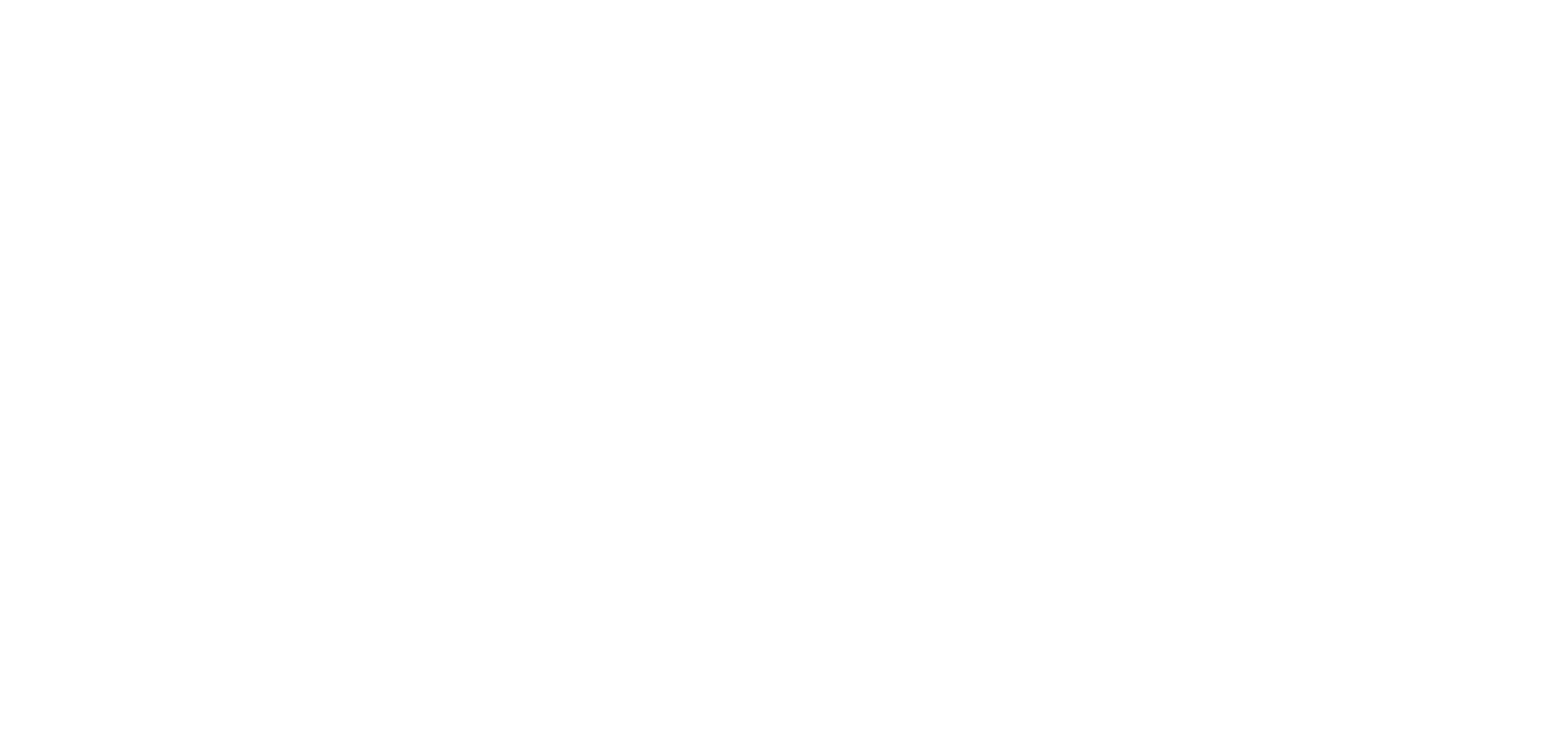 Polestar logo_white